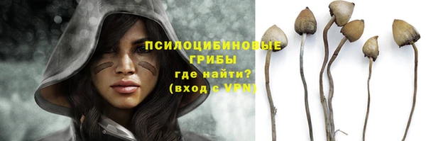 молекула духа Дмитровск