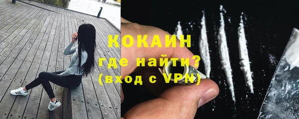 молекула духа Дмитровск