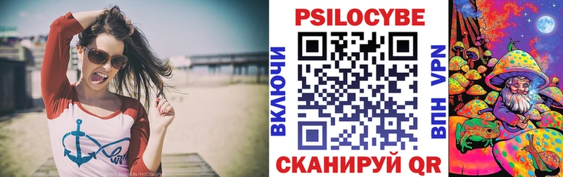 Псилоцибиновые грибы Cubensis  Купить  Волосово 